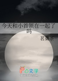 [综漫] 今天和小首领在一起了吗